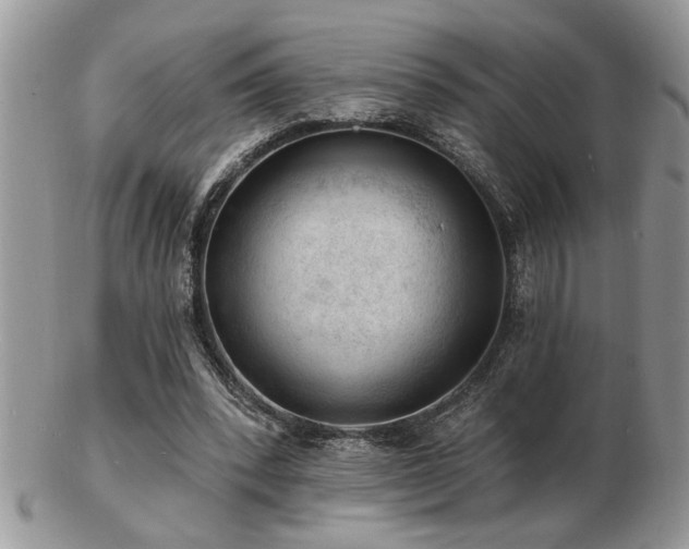 X0000103240392200808281445