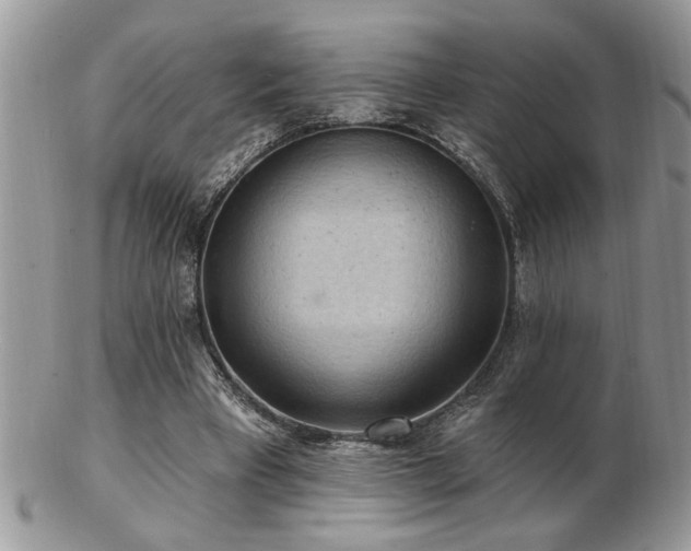 X0000103240393200808281445