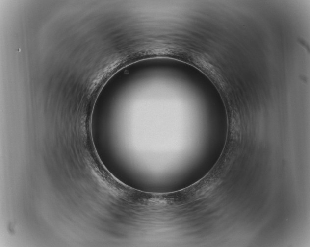 X0000103240394200808281445