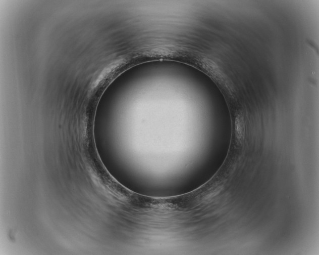 X0000103240396200808281445