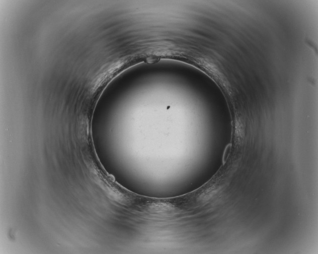 X0000103240397200808281445