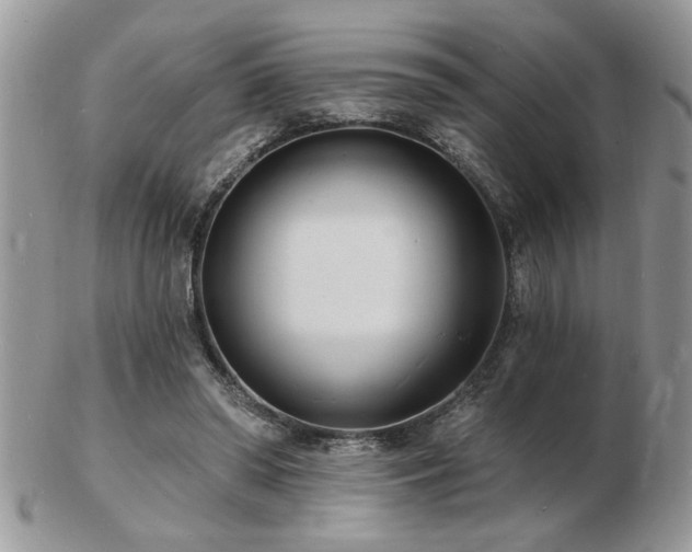 X0000103240398200808281445