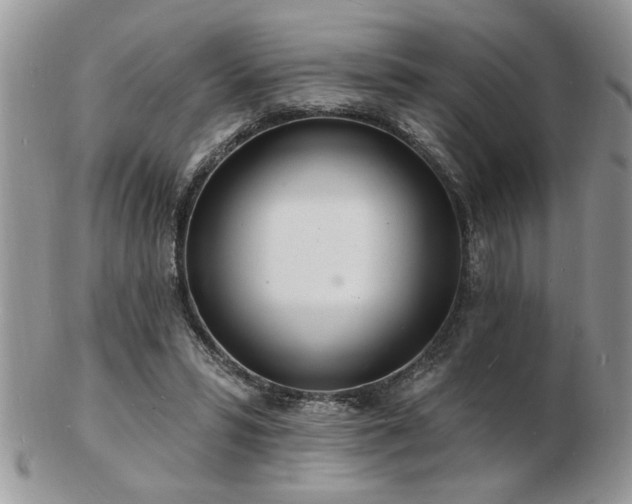 X0000103240399200808281445