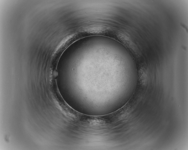 X0000103240400200808281445