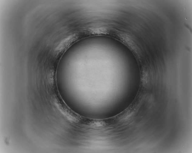 X0000103240402200808281445