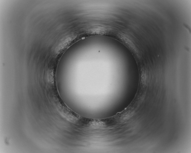 X0000103240403200808281445