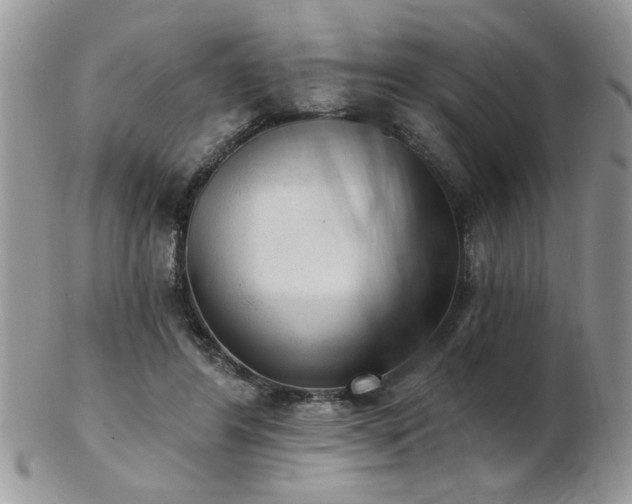 X0000103240404200808281445