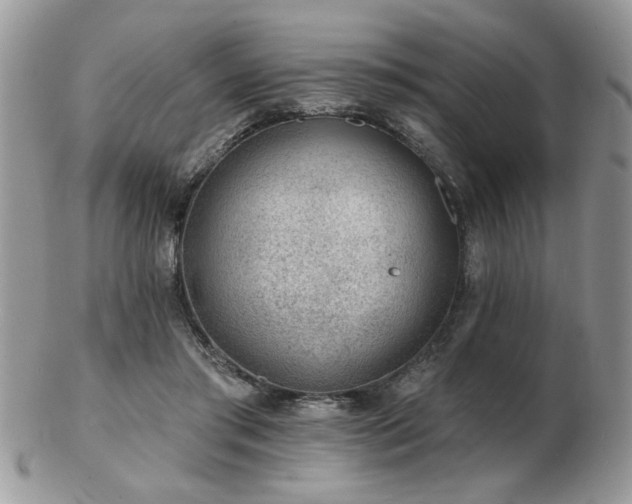 X0000103240405200808281445