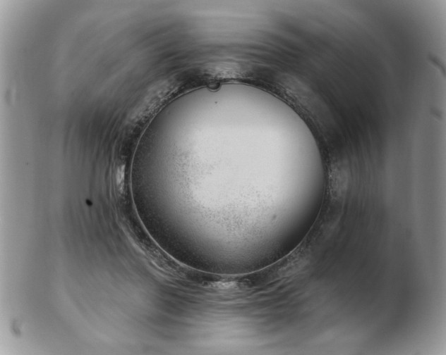 X0000103240406200808281445