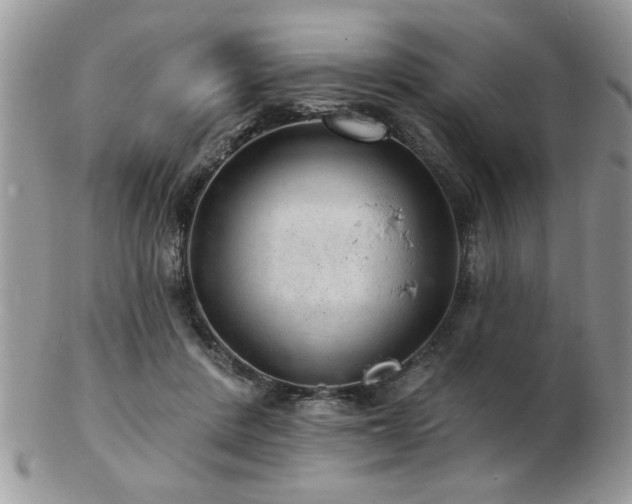 X0000103240408200808281445