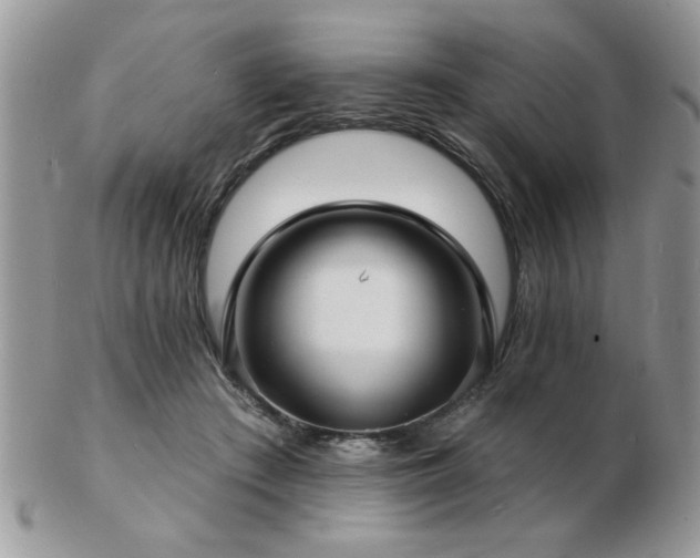 X0000103240409200808281445