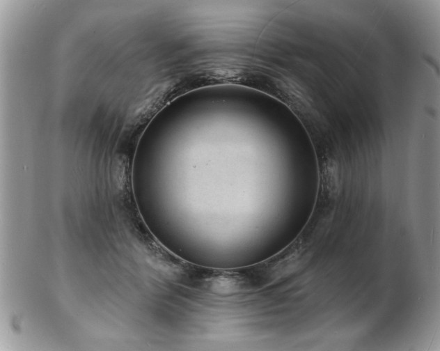 X0000103240412200808281445