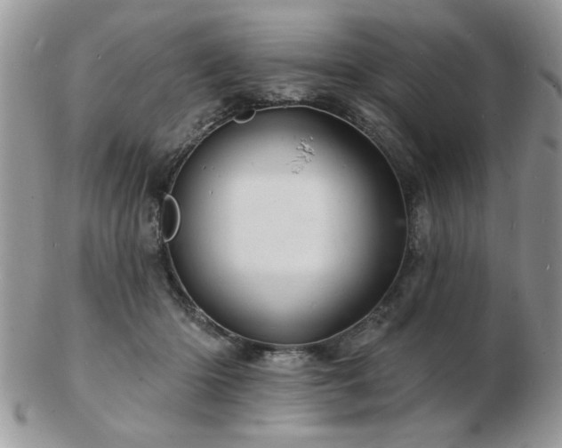 X0000103240414200808281445