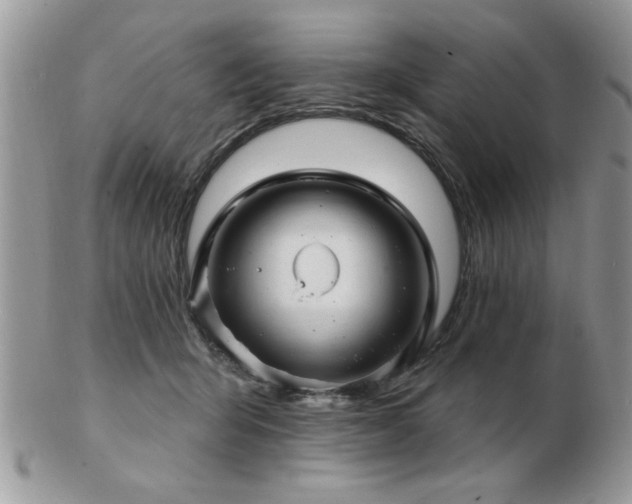 X0000103240415200808281445
