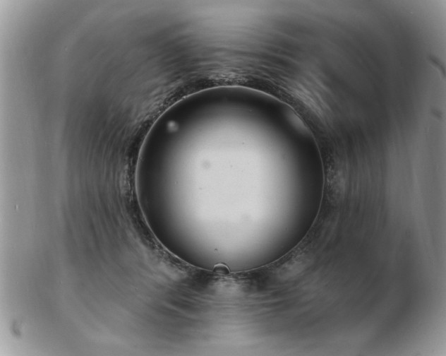 X0000103240416200808281445