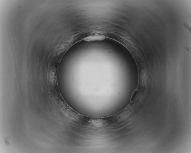 X0000103240417200808281445