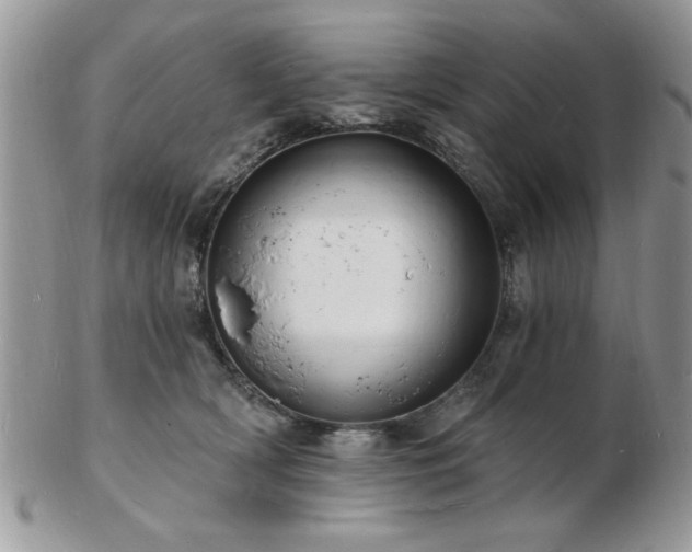 X0000103240418200808281445