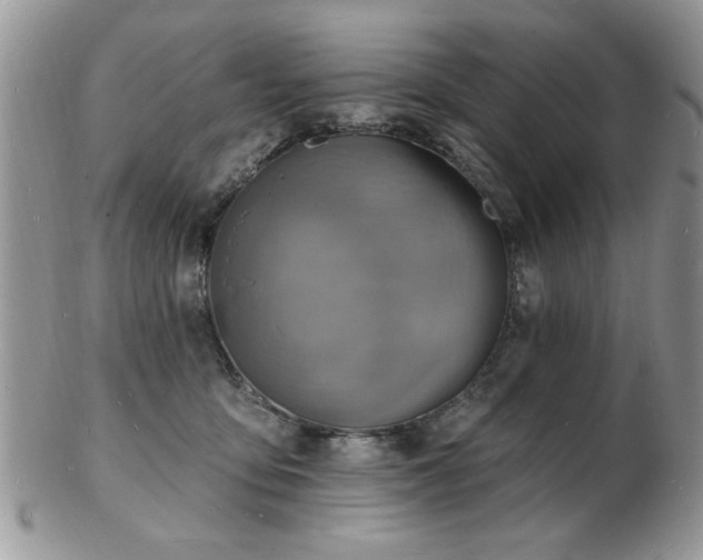 X0000103240419200808281445