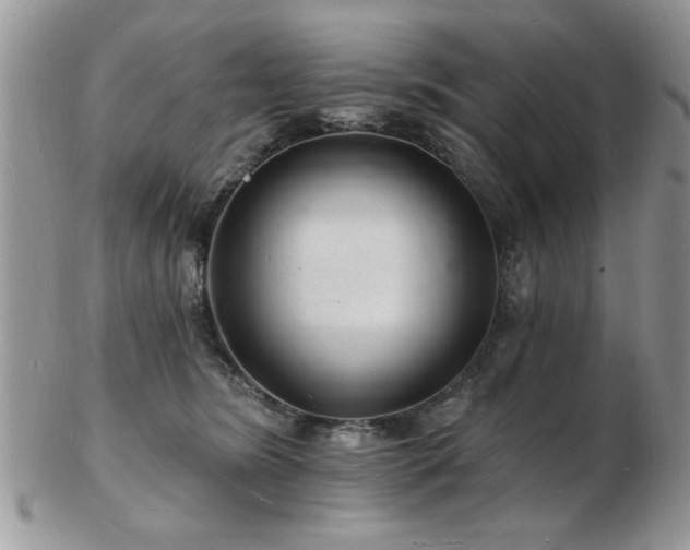 X0000103240420200808281445