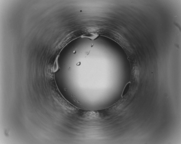 X0000103240421200808281445