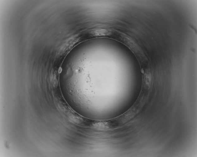 X0000103240422200808281445