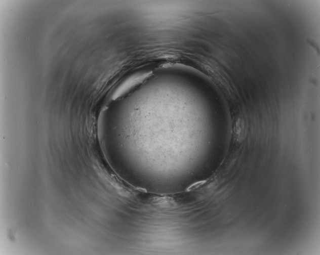 X0000103240424200808281445