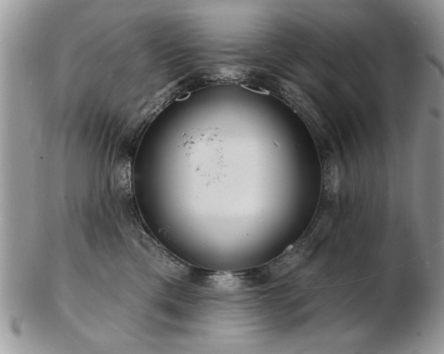 X0000103240425200808281445