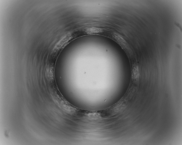 X0000103240426200808281445
