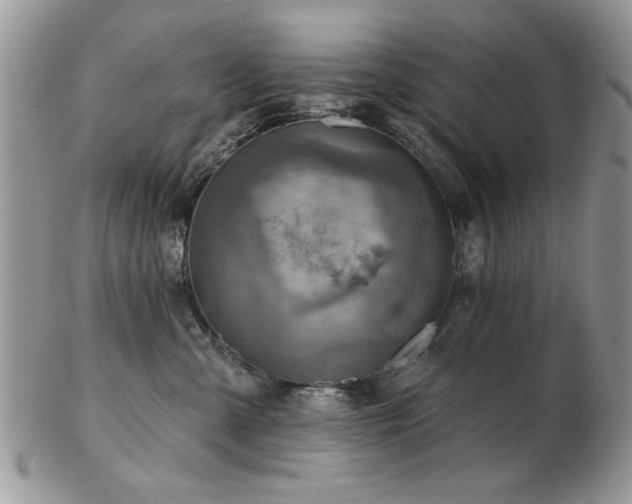 X0000103240427200808281445