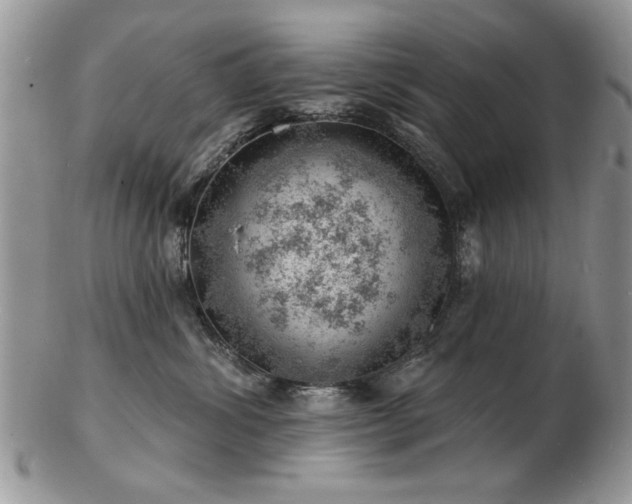 X0000103240428200808281445