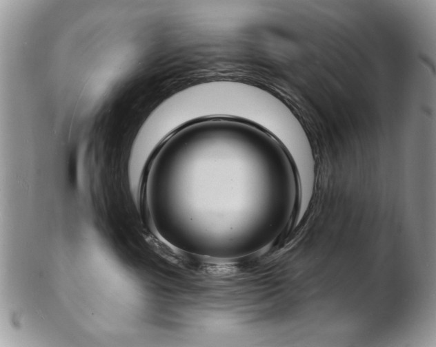X0000103240429200808281445