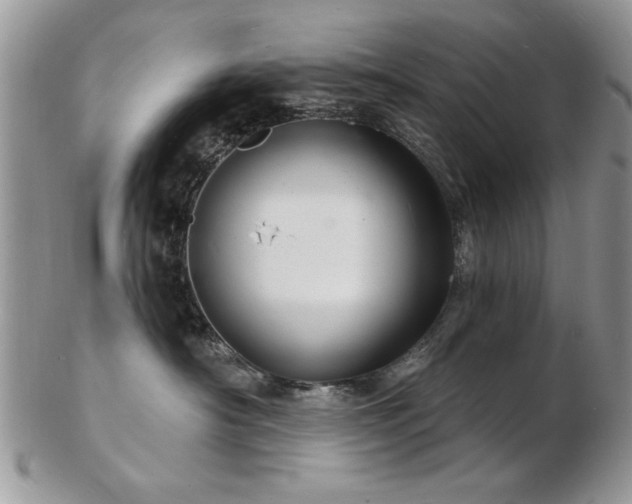 X0000103240430200808281445