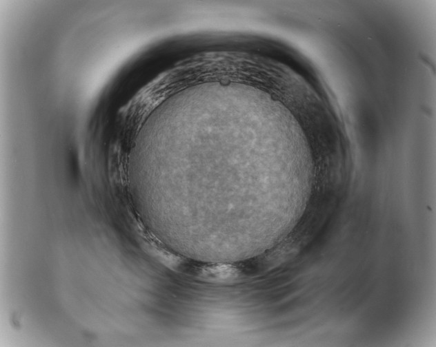 X0000103240431200808281445
