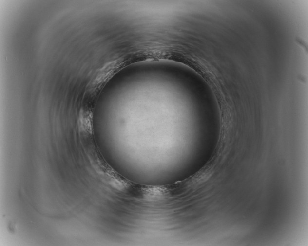 X0000103240432200808281445