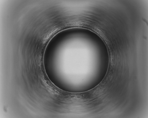 X0000103240434200808281444