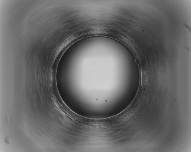 X0000103240435200808281444