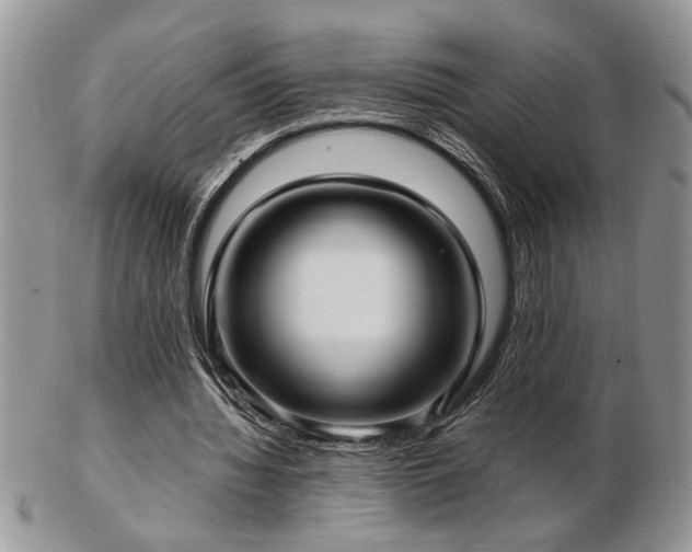 X0000103240436200808281444