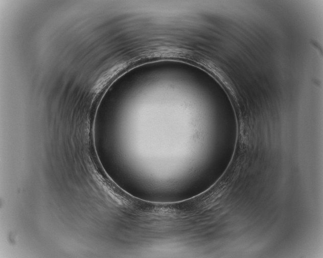 X0000103240437200808281444