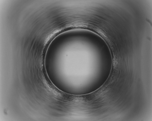 X0000103240438200808281444