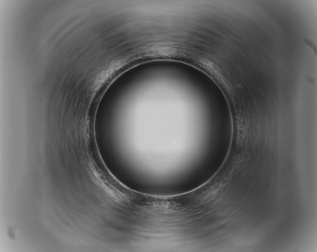 X0000103240439200808281444