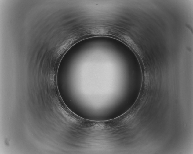 X0000103240441200808281444