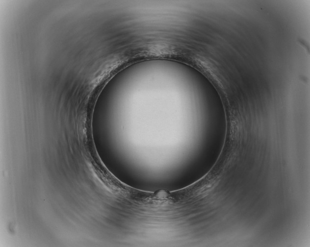 X0000103240443200808281444