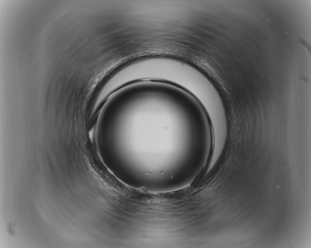 X0000103240444200808281444