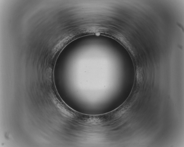 X0000103240445200808281444