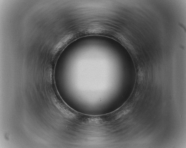 X0000103240446200808281444