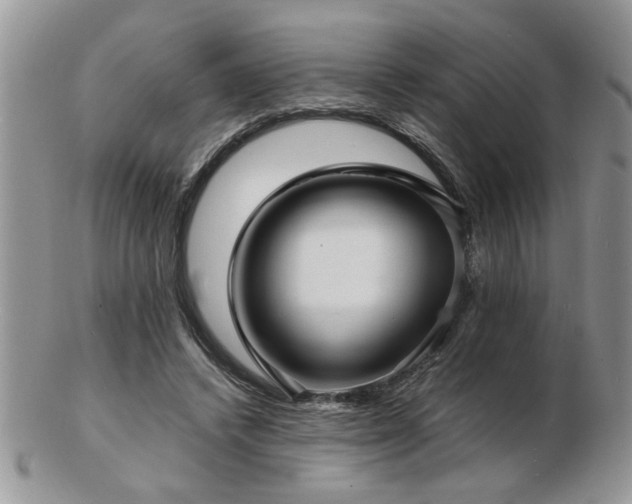 X0000103240448200808281444