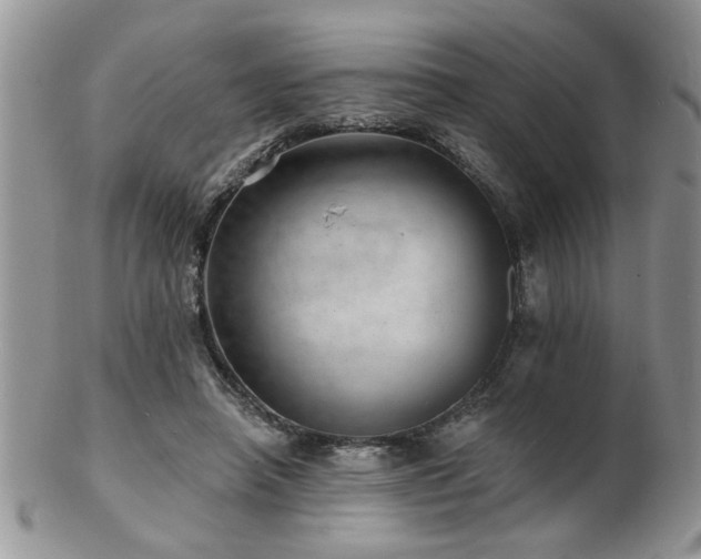 X0000103240450200808281444