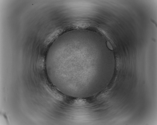 X0000103240451200808281444