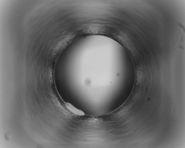 X0000103240453200808281445