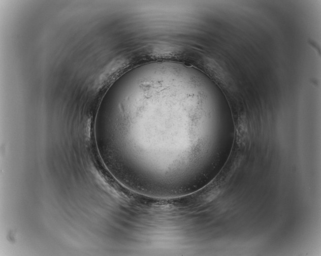 X0000103240454200808281445